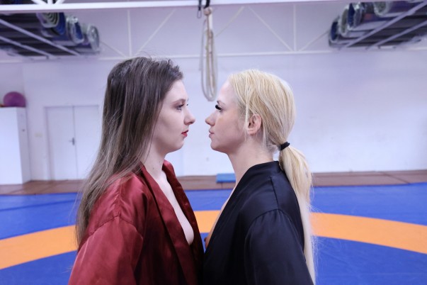 Bella vs. Nila
